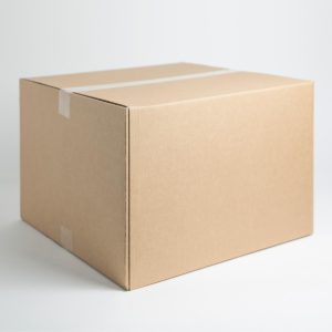 Regular Slotted Containers (RSC)